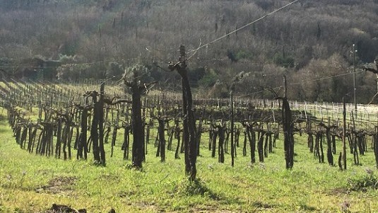 Il lato terragno della Campania, il Sannio Beneventano