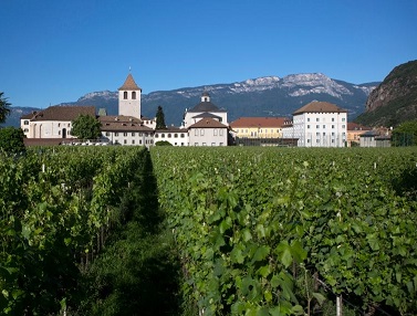 Il nobile Pinot Bianco di Muri-Gries