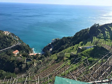 Il territorio verticale di Raffaele Palma