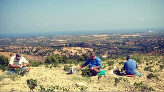 In giro per la Calabria