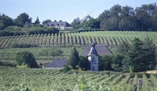 L’Original di Joseph Mellot, un Sancerre da manuale