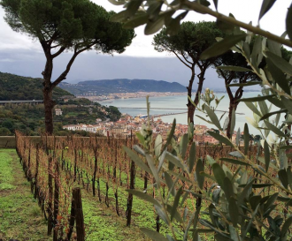 L'incanto sul mare