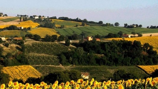 La linearità della Val Misa