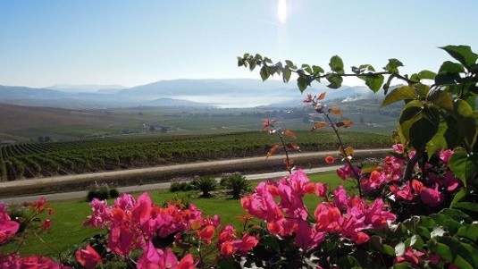 La seconda primavera siciliana