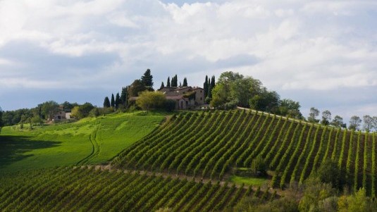 La tipicità della Gran Selezione Vigna Paronza di Casale dello Sparviero