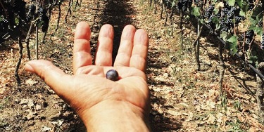 La vocazione del Salento