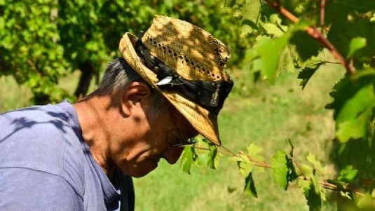 Lamoretti e il suo Lambrusco che dona allegria