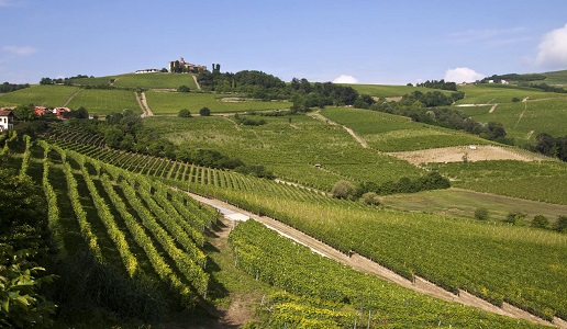 Langhe