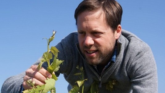 Les Crayeres, il primo champagne parcellare di Marguet