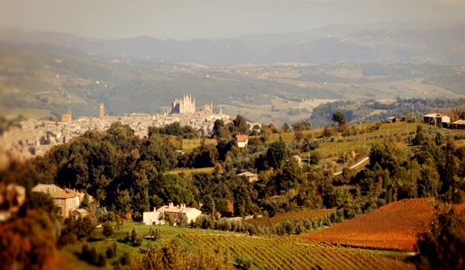 Il Viognier Orvietano di Madonna del Latte