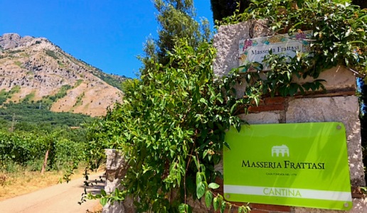 Masseria Frattasi cantina vini Campania