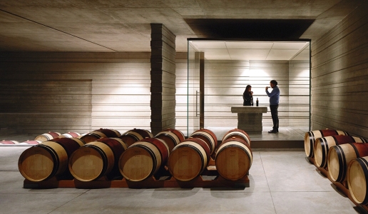 Masseto Wine Cellar