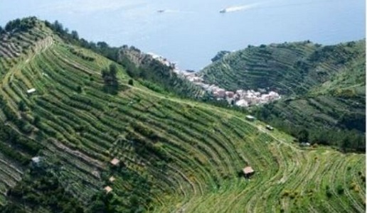 27 e 28 agosto al via il 28° Mondial des vins Extrêmes