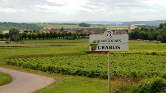 Mondo Chablis (1)