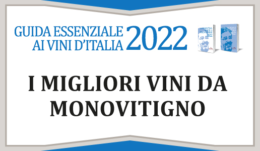 Monovitigni 2022