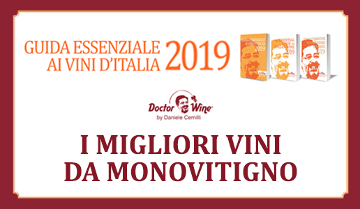 I migliori vini da monovitigno 2019