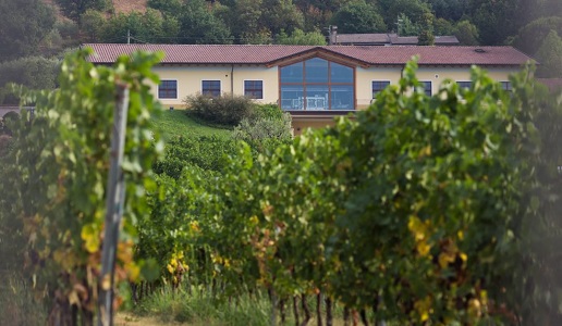 Monte Zovo Famiglia Cottini Cantina di Capriva