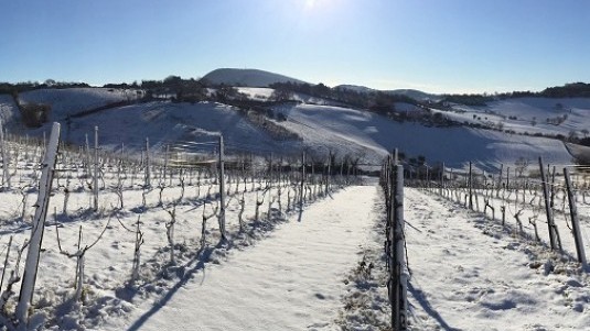 Montepulciano
