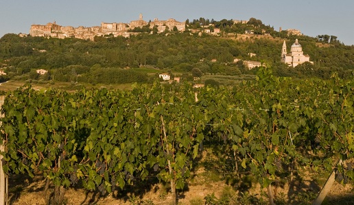 Vigneti Montepulciano