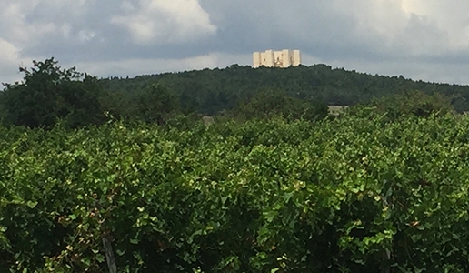 Nero di Troia Castel del Monte