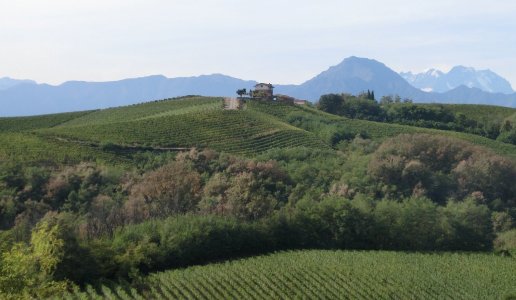 Nervi Gattinara Vigneti Roberto Conterno