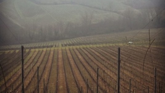 Oltrenero Brut Nature, voce d’Oltrepò