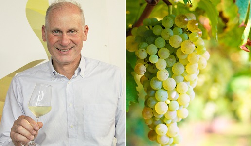 Paolo-Fiorini-presidente-consorzio-tutela-vini-Lessini-Durello+uva-durella