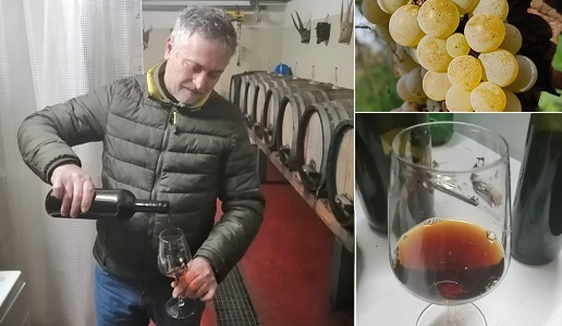Paolo Pinna con Vernaccia di Oristano di San Vero Milis 1876