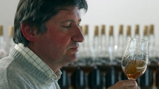 Cabernet Sauvignon Collezione De Marchi, il SuperCab (2)