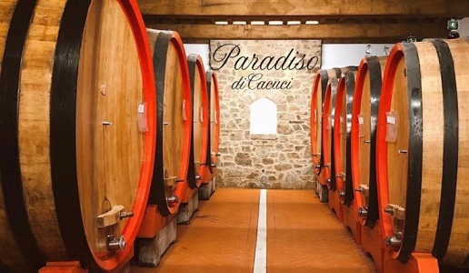 Paradiso di Cacuci, Montalcino, cantina