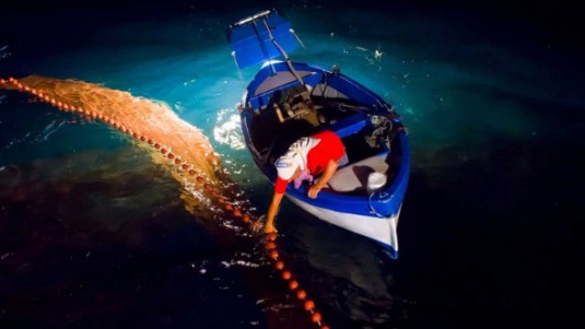 Pesca delle Alici di Cetara costiera Amalfitana