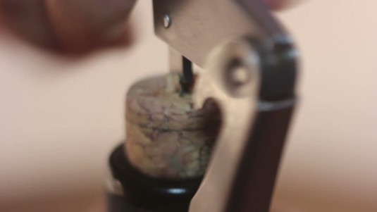 Piccoli vini crescono