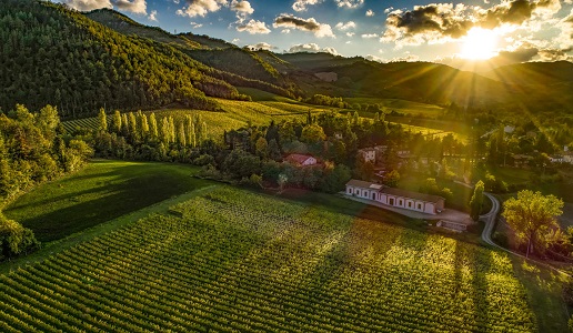 Piccolo Brunelli Romagna Foto Massimiliano Baccolini