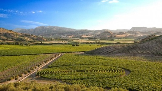 Piccolo grande miracolo