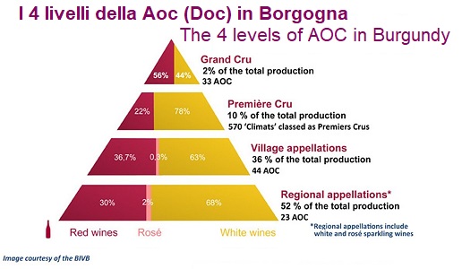 Piramide Qualitativa vini borgogna