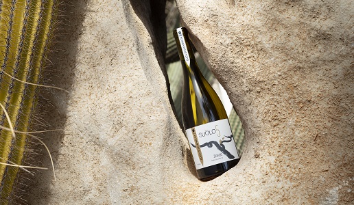 Progetto Suolo Duca-di-Salaparuta - sauvignon blanc e zibibbo