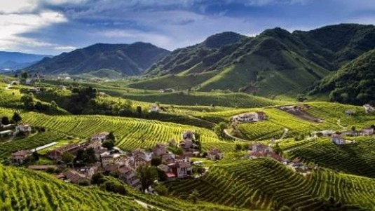 Prosecco Hills: rete d'impresa enoturistica - Cartizze