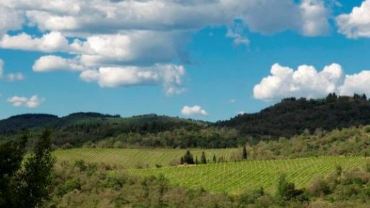 querciabella chianti classico vigna panorama