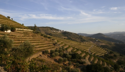 quinta do noval douro valley