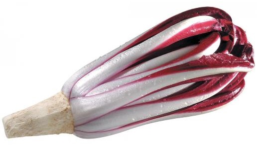 Radicchio rosso tardivo