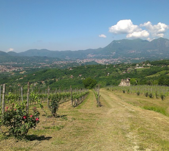 Radici e tradizioni (2)