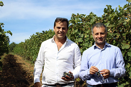 Recepit, il rosato da guarnaccino nero di 600 Grotte