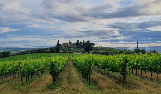 Relais Riserva di Fizzano di Rocca delle Macìe