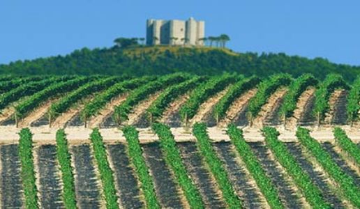 Rivera Castel del Monte Vigneti Cappellaccio Riserva 2008