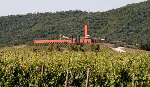 Rocca di Frassinello Vigneti 