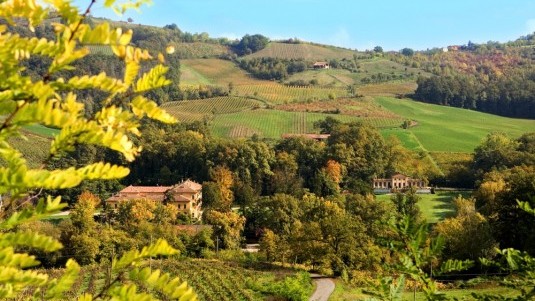 Sabotaggio in cantina dai Conti Vistarino