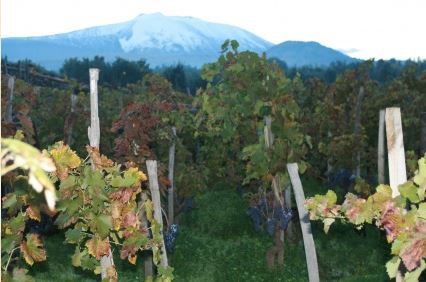 Salvo Foti, l'Etna Rosso Vinupetra e I Vigneri
