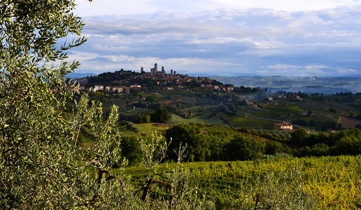 San Gimignano vigneto Il Colombaio di Santa Chiara