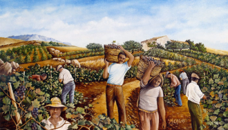 Si fa presto a dire vino (2): Il vino contadino