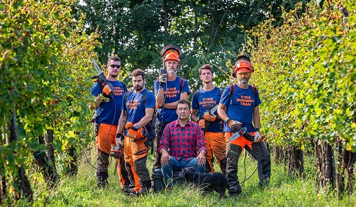 Simonit & Sirch team dendrochirurgia